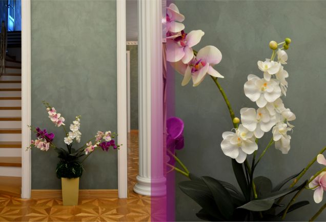 Частный дом в Ждановичах